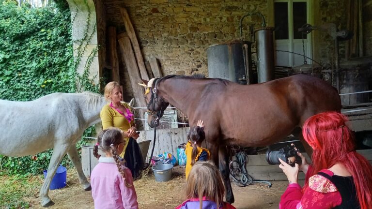 stage équithérapie enfant et ado