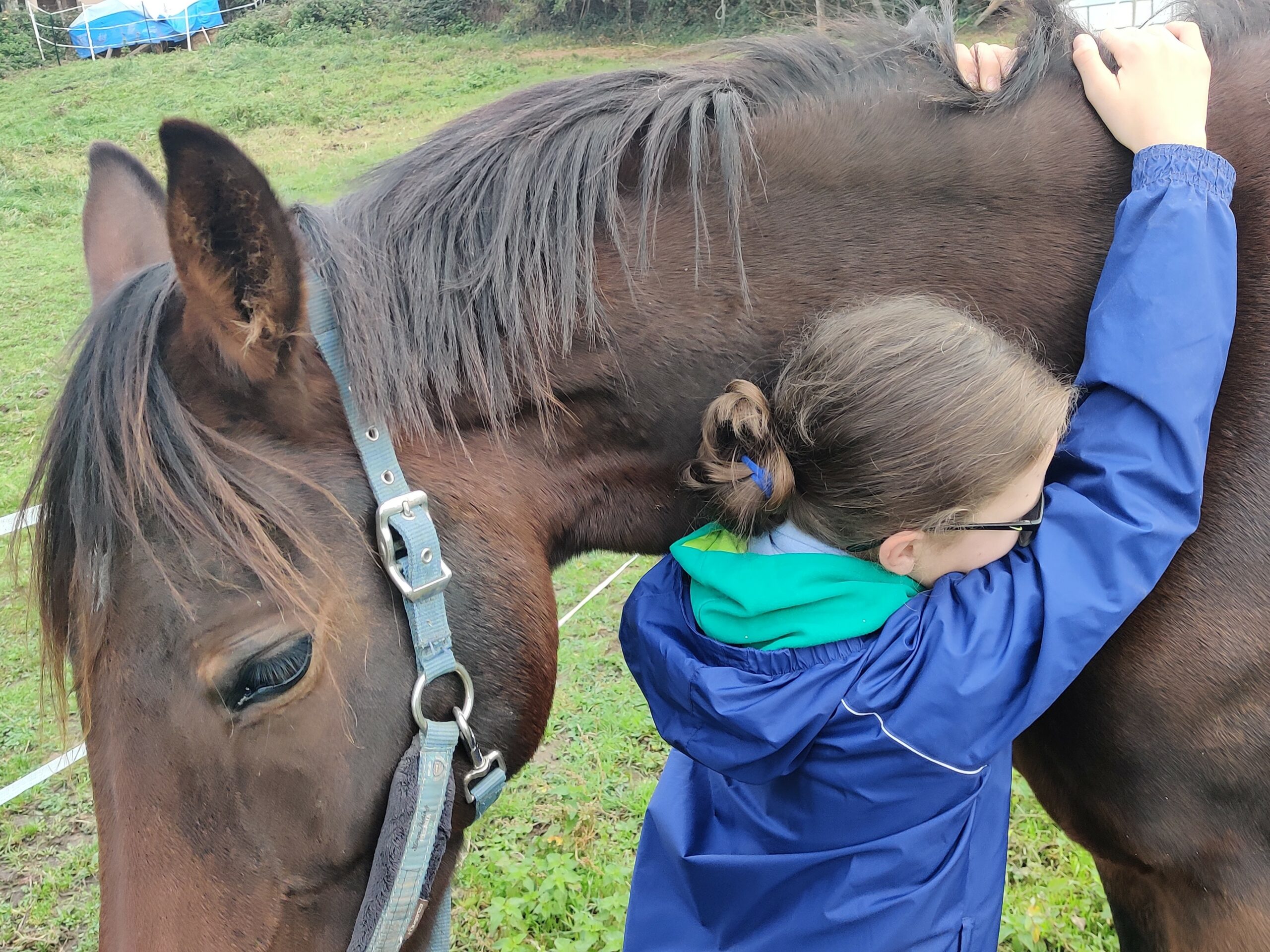 La zootherapie : un enfant serrant un cheval dans ses bras