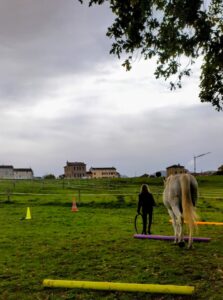 2025-10-21 stage parcours cheval