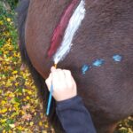 2025-10-21 stage-peinture