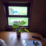 2025-10-21 stage roulotte