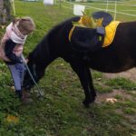 balade en main mendi