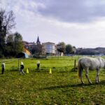 carriere avec chevaux parcours