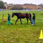 marche enfants+hargus