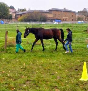marche enfants+hargus