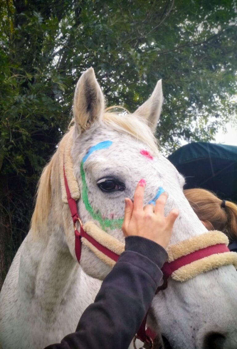 peinture tete palongo