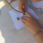 photo realisaton herbier