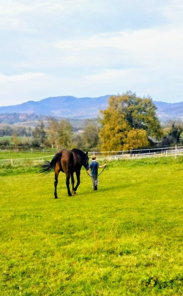 un enfant qui marche avec un cheval
