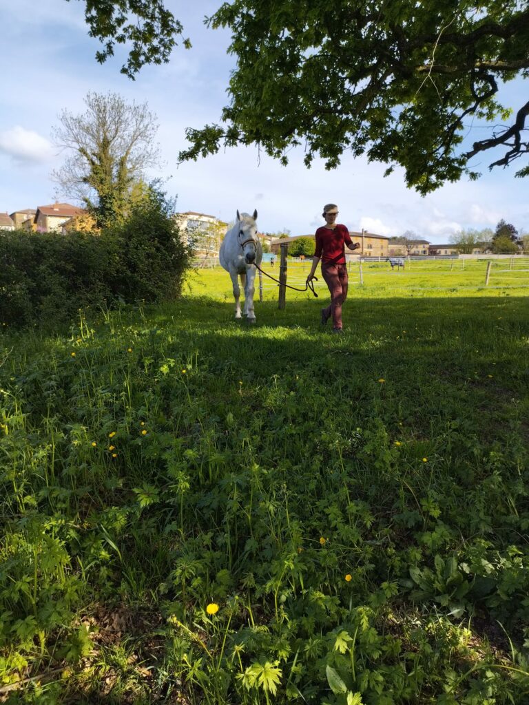 une femme marche avec un cheval